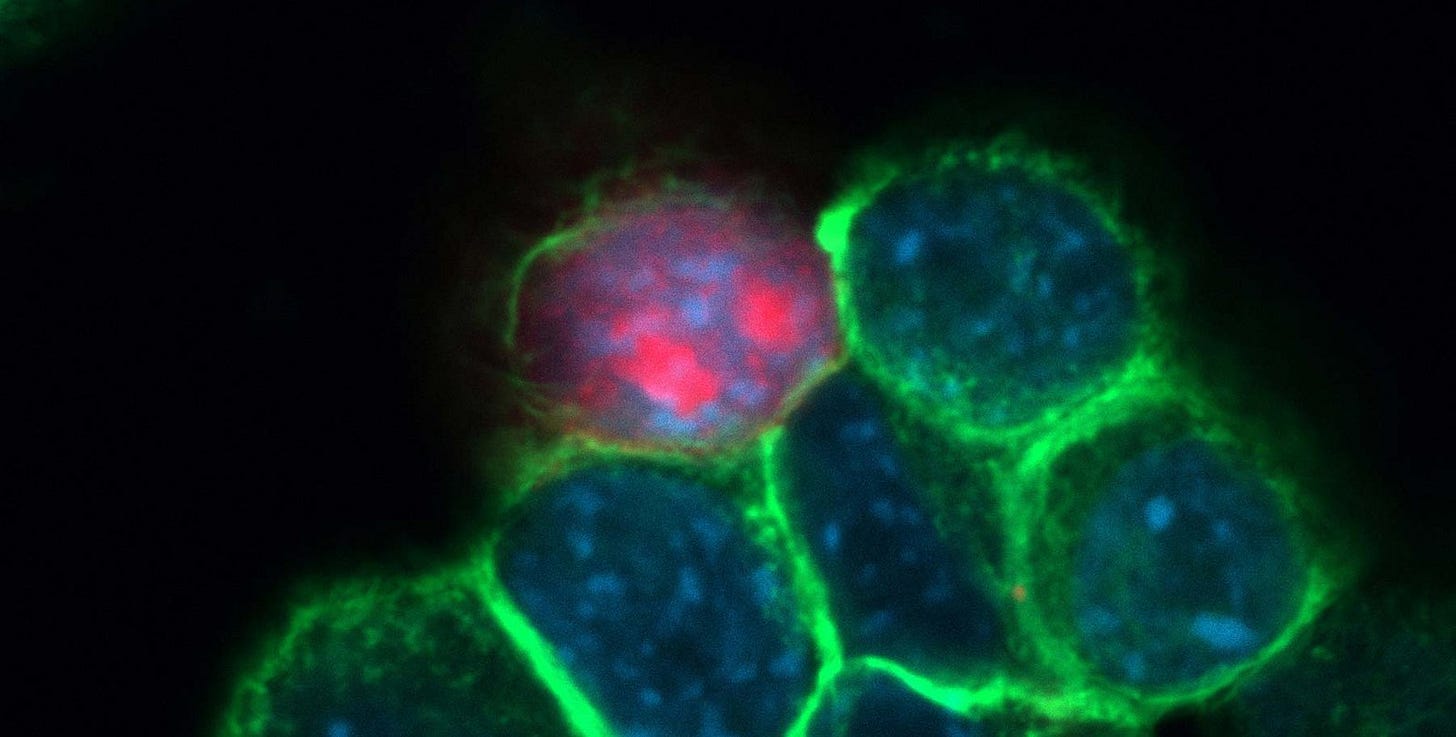 Frequencies In Medicine