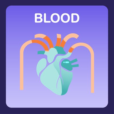 Blood