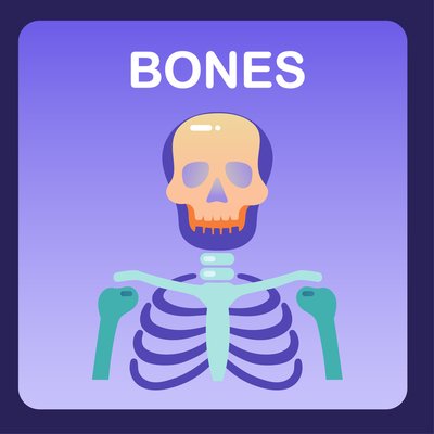 Bones
