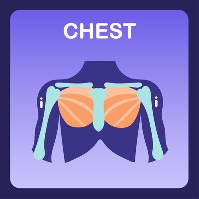 Chest