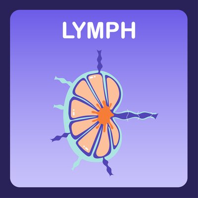 Lymph