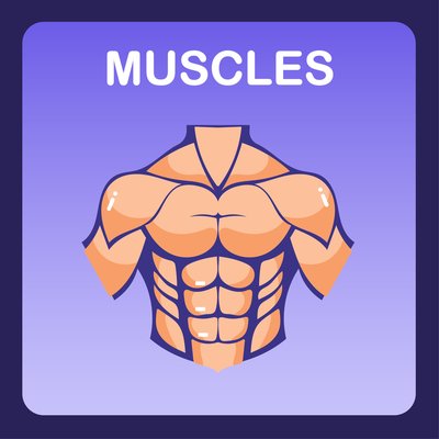 Muscles