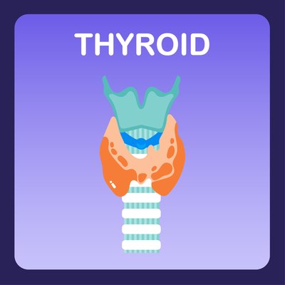 Thyroid